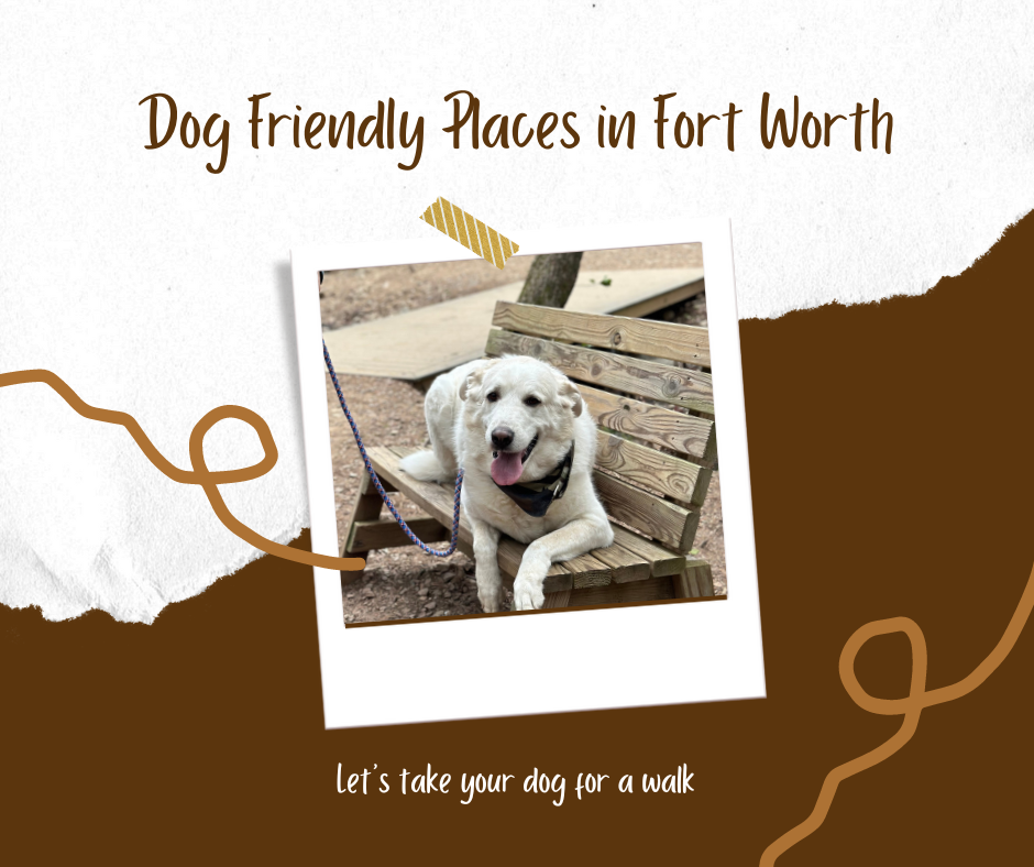 Dog Friendly Parks and Trails in Fort Worth